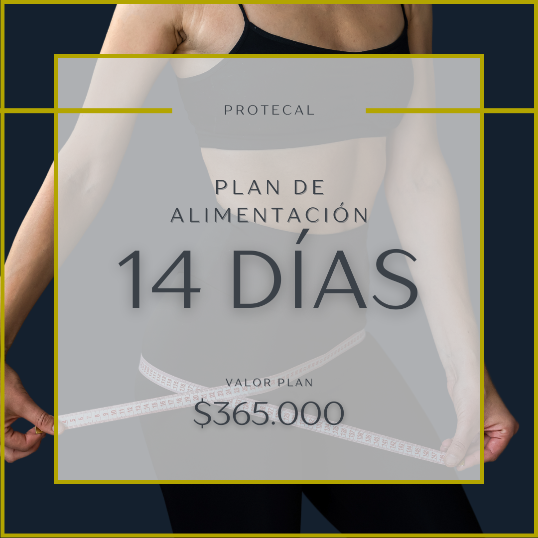 PLAN 14 DÍAS