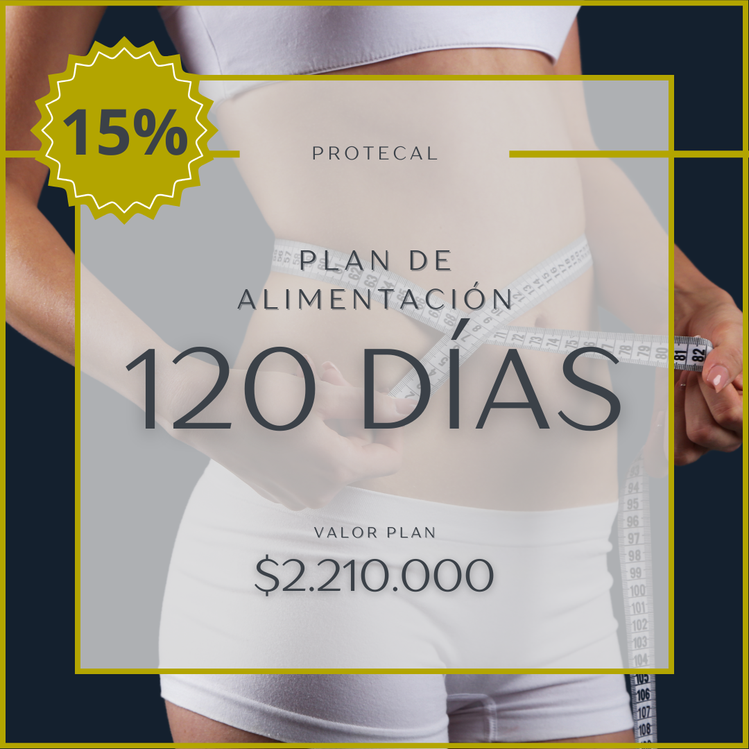 PLAN 120 DÍAS