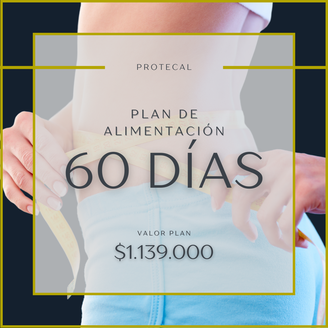 PLAN 60 DÍAS