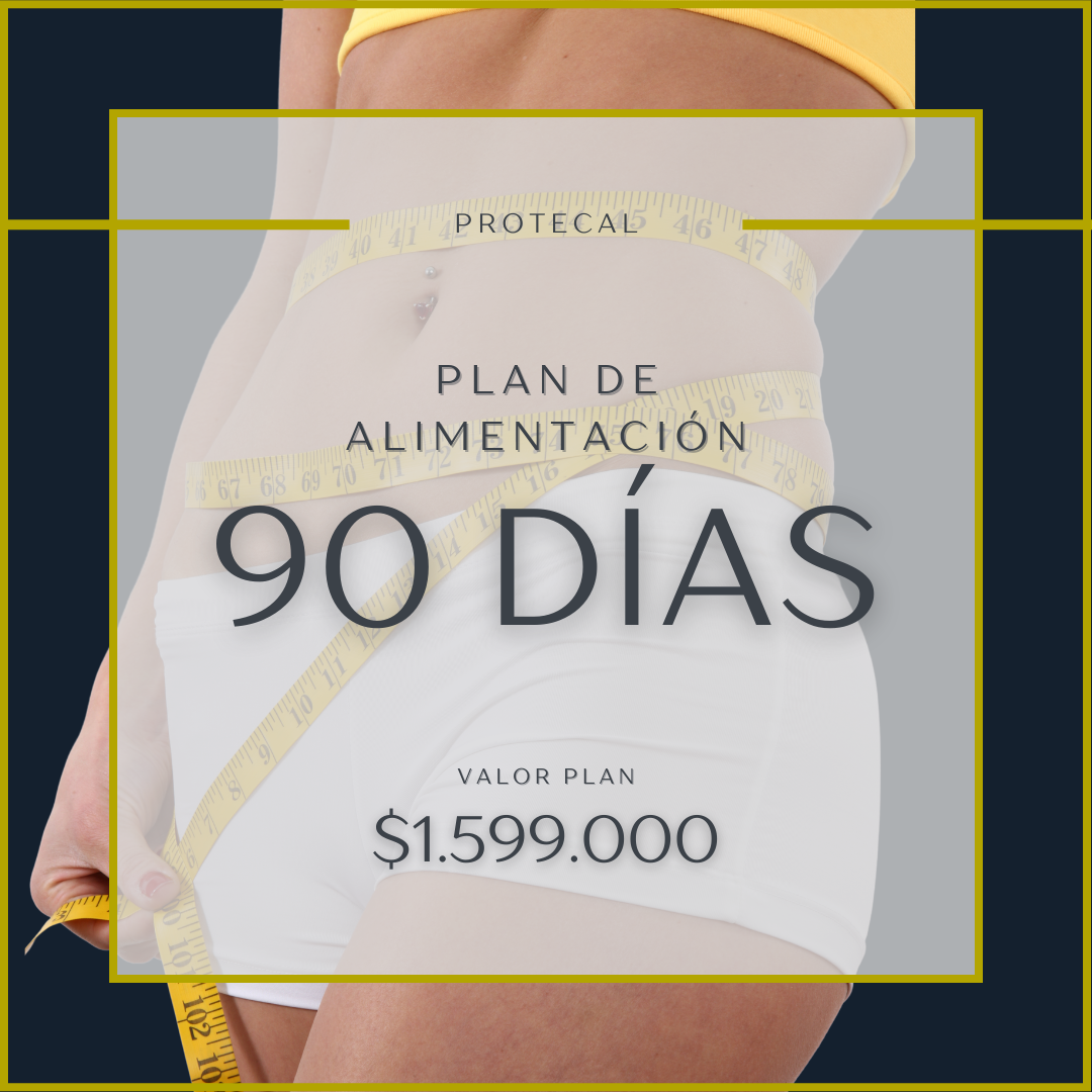 PLAN 90 DÍAS