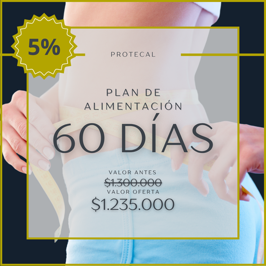 PLAN 60 DÍAS